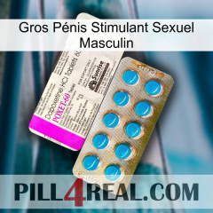 Gros Pénis Stimulant Sexuel Masculin new07